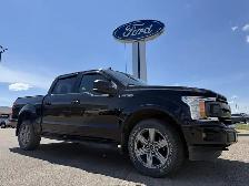 2019 Ford F-150 XLT SPORT! / 5.0L V8! / 302A! / HSEATS! / LOW KM