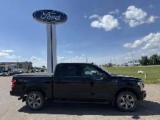 2019 Ford F-150 XLT SPORT! / 5.0L V8! / 302A! / HSEATS! / LOW KM - Photo 2