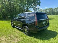 2016 Cadillac Escalade - Photo 4