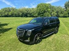 2016 Cadillac Escalade - Photo 11