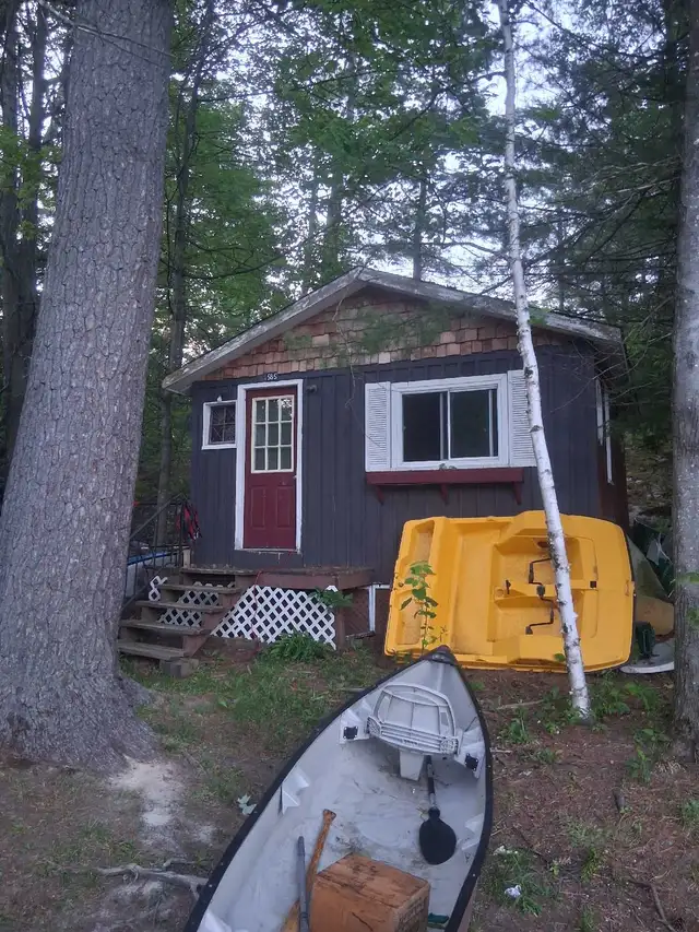 Bunkie for rent