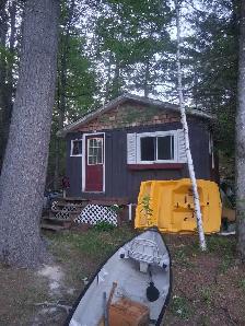 Bunkie for rent