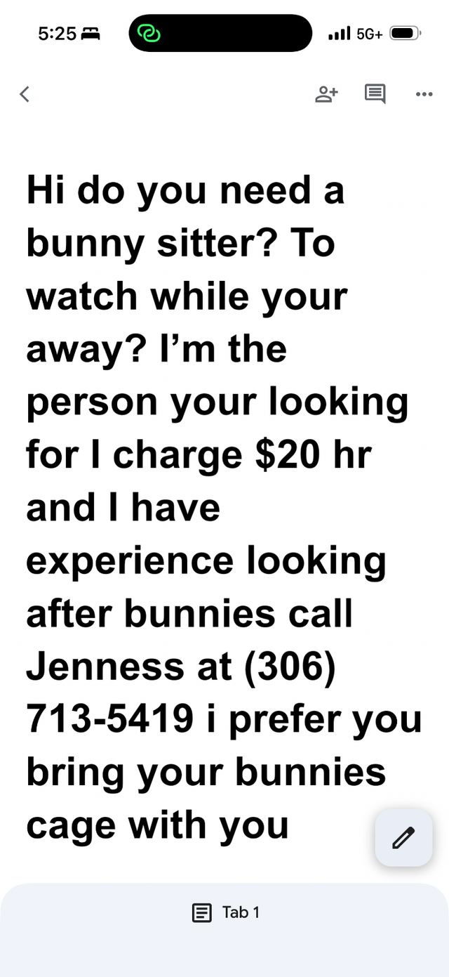 Bunny  sitter avalible do you need someone to watch and care