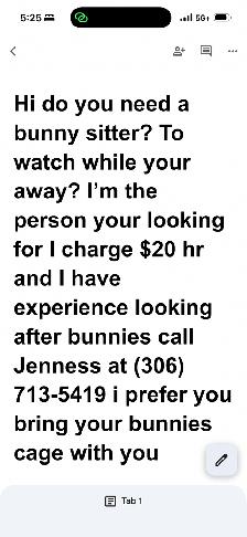Bunny  sitter avalible do you need someone to watch and care
