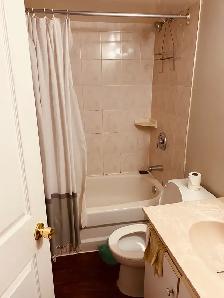 1 bedroom basement unit for rent - Photo 3