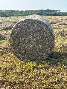 Round Bales Dry Hay