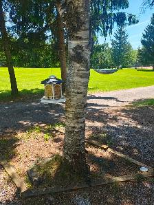 Keystone Hideaway Located at Pigeon Lake TP - Photo 5