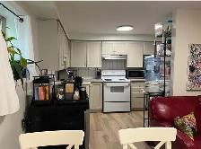 newly renovated 2 bedroom lower level apartment 268 suffolksept1 - Photo 3