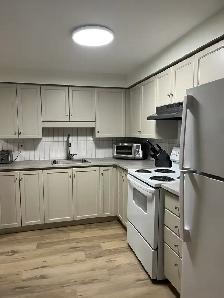 newly renovated 2 bedroom lower level apartment 268 suffolksept1 - Photo 4