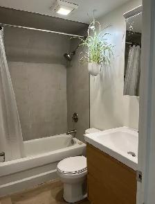 newly renovated 2 bedroom lower level apartment 268 suffolksept1 - Photo 6