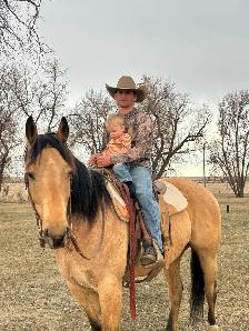Quarter Horse - Photo 2