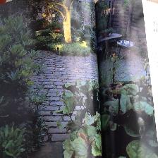 The Practical Encyclopedia of Feng Shui -Paperback - Photo 6