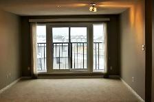 South Hamptons Park Place apartment for rent - Photo 4