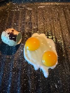 Quail Eggs - Photo 2