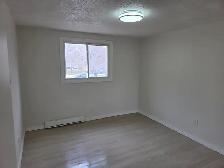 1 bedroom apartment for rent  204-998-8440 - Photo 4
