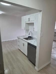 1 bedroom apartment for rent  204-998-8440 - Photo 6