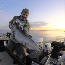 $500 Salmon Fishing - Lake Ontario - Photo 2