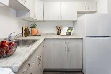 Barrington Place - Bachelor Suite - Photo 4