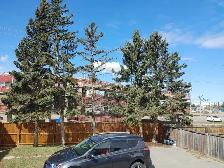 3 bedroom Main Level Whitehorn NE - Photo 6