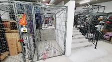 Spacious modern 1 bedroom /Den Suite across from Langara station - Photo 6