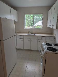 Cozy 1 Bedroom Apartment - Photo 4