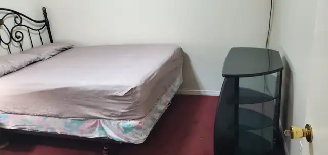 1 BEDROOM BASEMENT AVAILABLE IN SCARBOROUGH