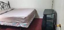 1 BEDROOM BASEMENT AVAILABLE IN SCARBOROUGH