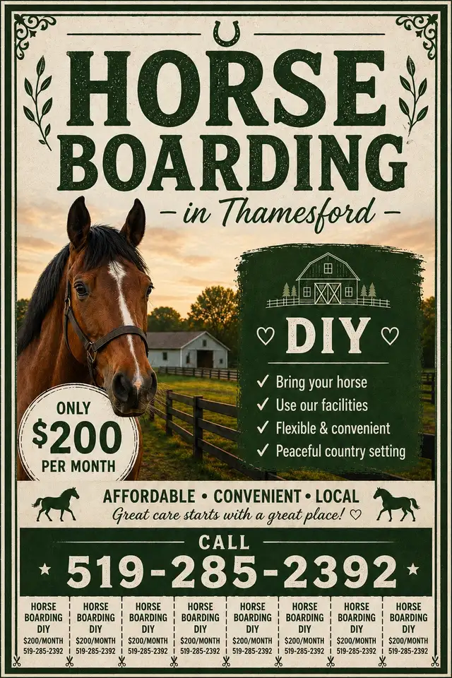 Horse Boarding in Thamesford