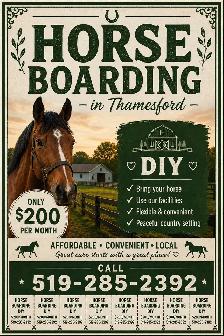 Horse Boarding in Thamesford