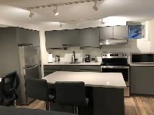 Luxury Basement Apt, Fully Furnished, Beautiful Old North - Photo 3