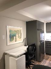 Luxury Basement Apt, Fully Furnished, Beautiful Old North - Photo 5