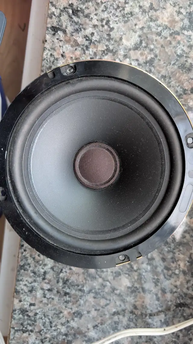 Speakers Tannoy ICT 65MM full range