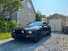Mustang GT Black 2005 in time for the nice weather!