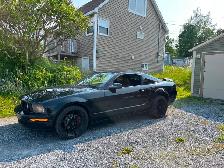Mustang GT Black 2005 in time for the nice weather! - Photo 3