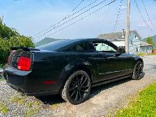 Mustang GT Black 2005 in time for the nice weather! - Photo 6