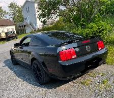 Mustang GT Black 2005 in time for the nice weather! - Photo 7