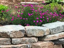 Limestone / Flagstone 506 866-4111 - Photo 3