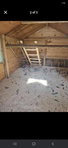 Chicken coop - Photo 2