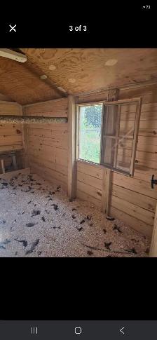 Chicken coop - Photo 3