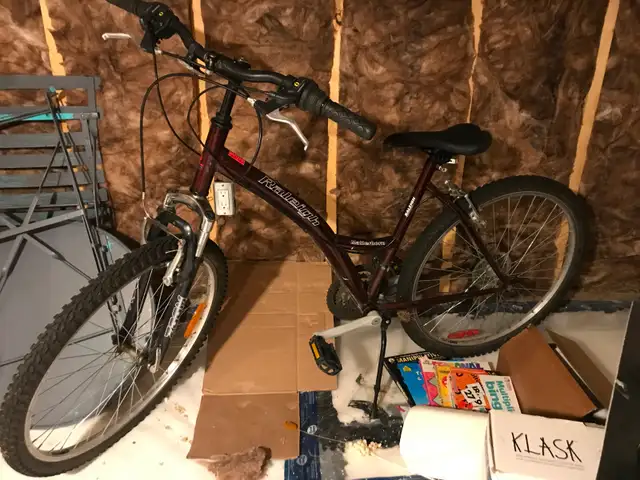 Adult Bicycle - City bike (Good condition)