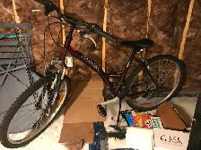 Adult Bicycle - City bike (Good condition)