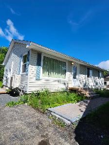 291B Canterbury - Newly renovated Bachelor, Laundry, H/L incl.