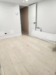 291B Canterbury - Newly renovated Bachelor, Laundry, H/L incl. - Photo 3