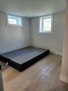 291B Canterbury - Newly renovated Bachelor, Laundry, H/L incl. - Photo 4