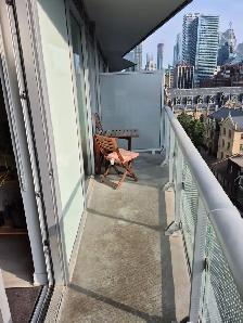 DOWNTOWN CONDO YONGE DUNDAS TMU  UofT  2 BEDROOMS  BATH BALCONY - Photo 8