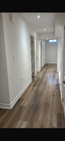 Beautiful, Bright, New and Very generous 1  1 Basement Apartment - Photo 2