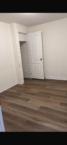 Beautiful, Bright, New and Very generous 1  1 Basement Apartment - Photo 4