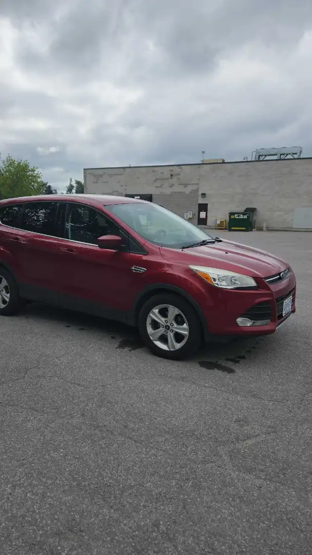 Tremendous 2015 Ford Escape SE