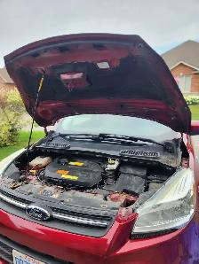 Tremendous 2015 Ford Escape SE - Photo 5