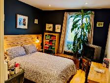 superbe rez de chaussée a Rosemont avec 2 ch et cour - Photo 4
